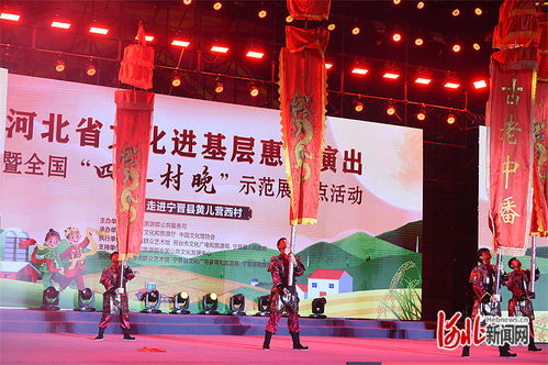 全國春季村晚示范展示活動在寧晉縣黃兒營西村成功舉辦