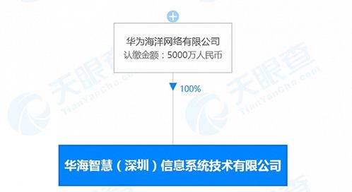 華為海洋深圳新公司成立，深耕數據處理領域