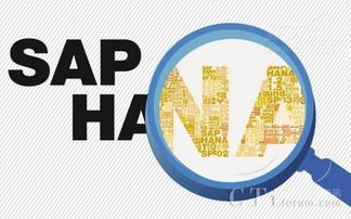 大數據時代下CIO與IT經理的數據處理三大策略